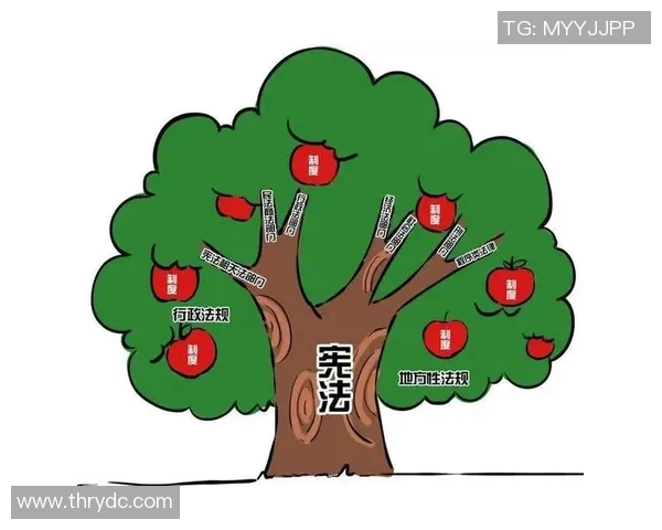 以人权为核心推动社会公平正义建设的路径探索与实践分析